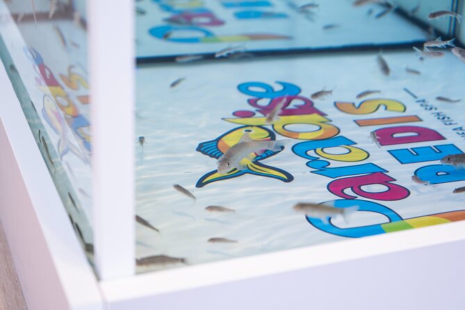 Fish, Fun & Feet – Caribbean’s Largest Fish Spa Experience! - Timing your visit in Downtown Nassau