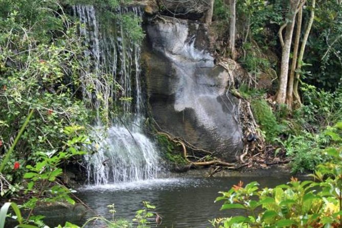 Freeport Shore Excursion: Garden of the Groves and City Tour - Key points to know before booking
