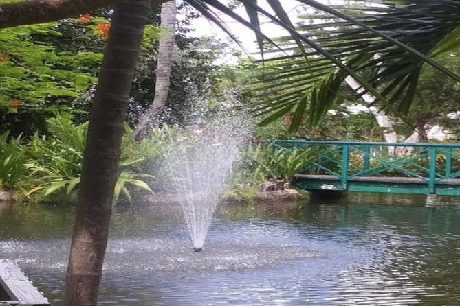Freeport Shore Excursion: Garden of the Groves and City Tour - One hour among the paths at Garden of the Groves