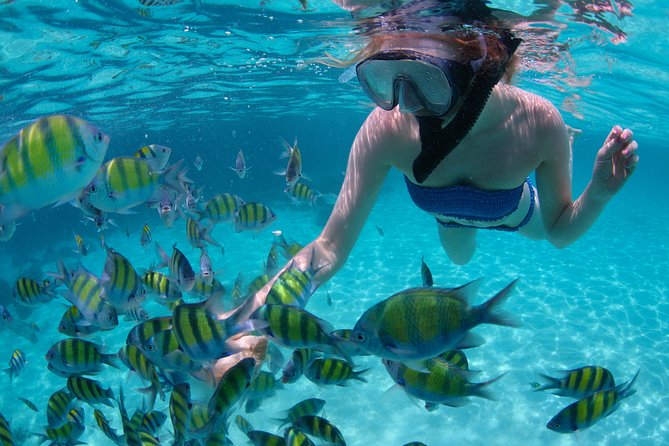 Freeport Snorkeling Peterson Cay National Park and Hotel Day Pass - Key points to know before booking