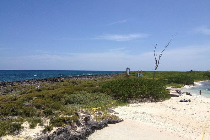 Freeport Snorkeling Peterson Cay National Park and Hotel Day Pass - The guide’s role in the water