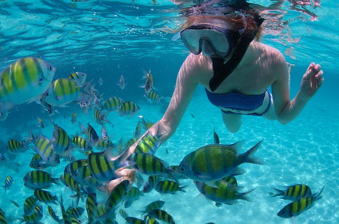 Freeport Snorkeling Peterson Cay National Park and Hotel Day Pass - Who will enjoy this tour most