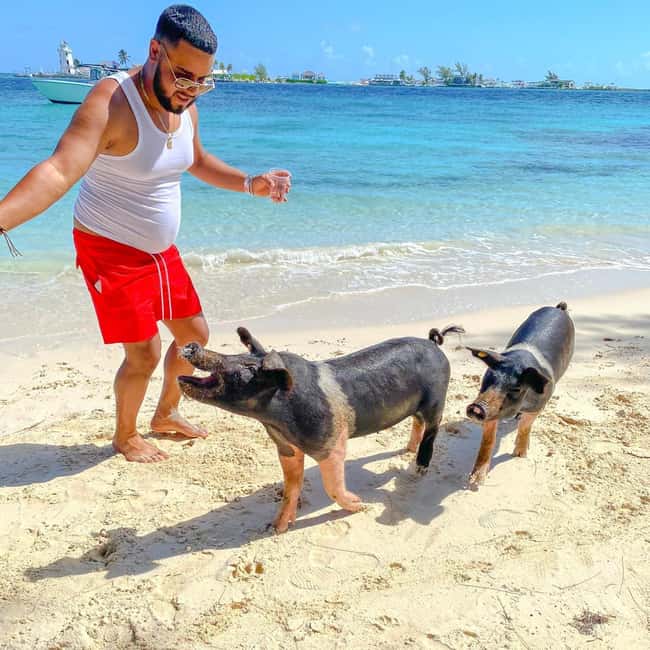 From Nassau: Swim with Pigs Safari - Five things to know before you book