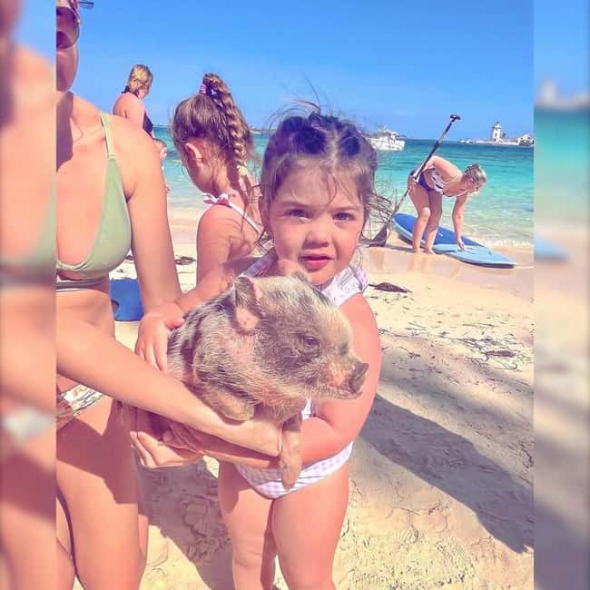 From Nassau: Swim with Pigs Safari - What the $140 to $175 price really covers