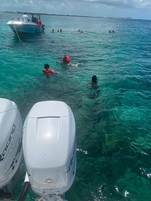 From Nassau: Swim with Pigs Safari - Who will enjoy this Nassau safari most