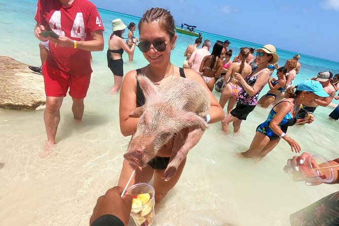 Full-Day Luxury Private Rose Island Pigs and Turtles Excursion - Key points to know before booking