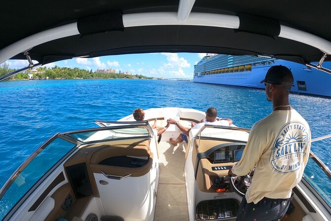 Full-Day Luxury Private Rose Island Pigs and Turtles Excursion - Why this private Nassau cruise works