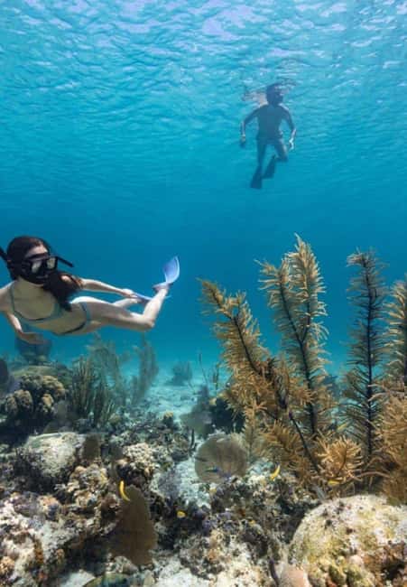 Full Day Sail and Snorkel with Turtles - Key Points Before You Book