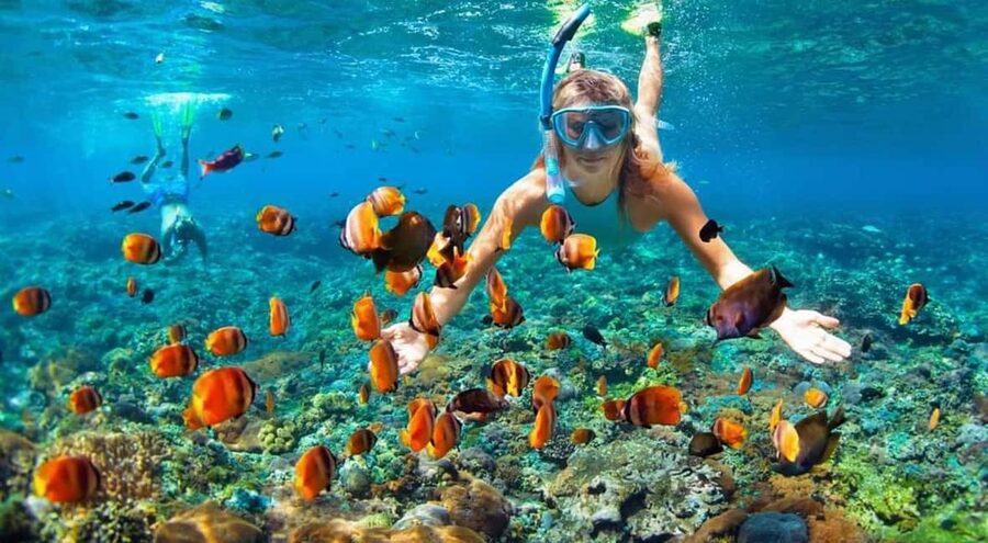Full Day Sail and Snorkel with Turtles - Lunch, Drinks, and a Midday Break