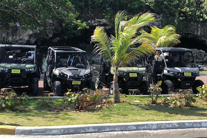 Fun Side x Side Buggy Rentals - Key points to know before you book