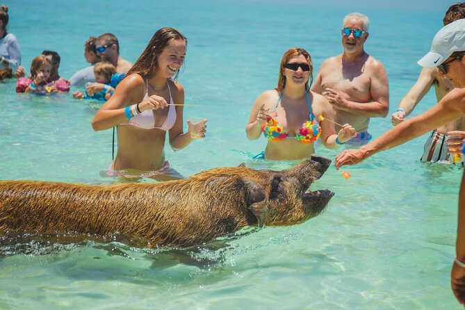 Guided All Inclusive Beach Day Excursion in Bahamas - The boat ride from Nassau to Rose Island