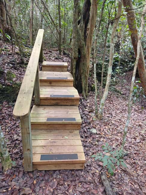 Guided Primeval Nature Walk Tour - Why this tour reaches beyond Nassau’s resort strip