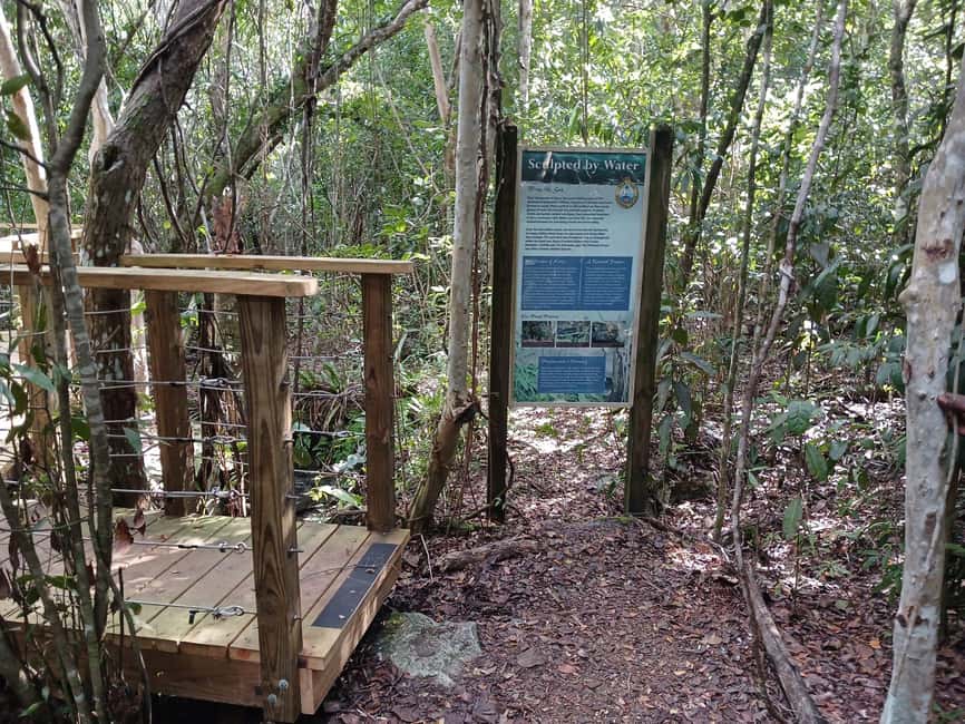 Guided Primeval Nature Walk Tour - Cave Point and the limestone world below your feet