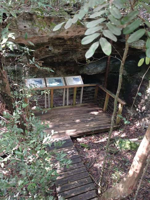 Guided Primeval Nature Walk Tour - Is $140 a fair price?