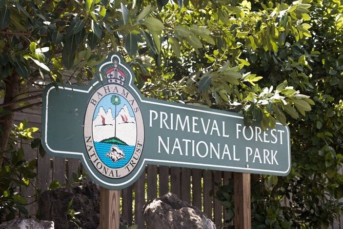 Guided Primeval Nature Walk Tour in Primeval Forest National Park - Key points to know before booking