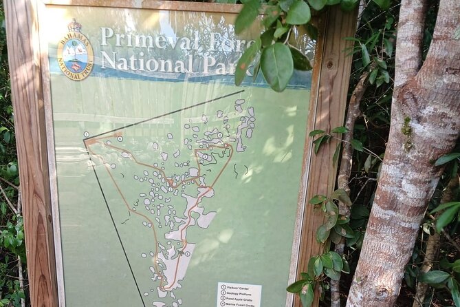 Guided Primeval Nature Walk Tour in Primeval Forest National Park - Why this Nassau tour feels different from a standard shore excursion