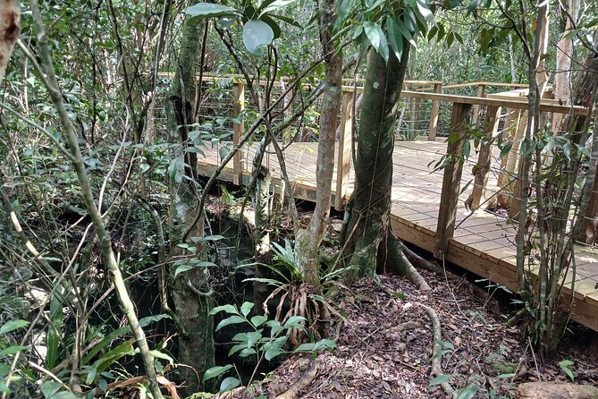 Guided Primeval Nature Walk Tour in Primeval Forest National Park - Finishing at Arawak Cay’s Local Fish Fry