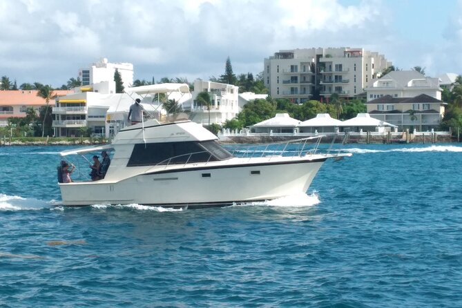 Half-Day at Green Cay Bahamas Snorkeling with Turtles - Why this Nassau boat trip works well for groups