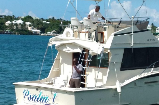 Half-Day at Green Cay Bahamas Snorkeling with Turtles - Gilligan’s Island and a playful Nassau detour