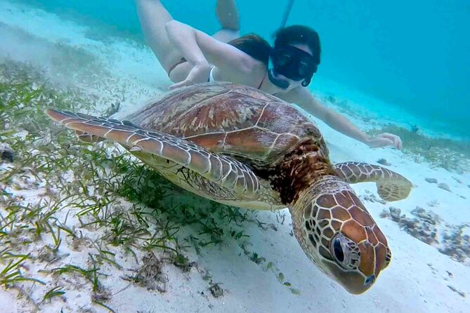 Half-Day at Green Cay Bahamas Snorkeling with Turtles - Green Cay and the turtle encounter