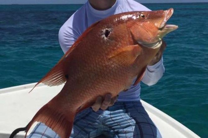 Half day Deep sea/light tackle fishing charters - Is $920 a fair price for four people?