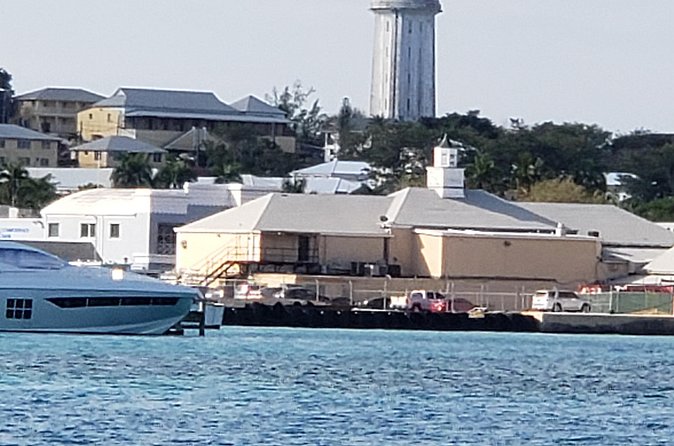 Half-Day Guided Boat Tour of Nassau Harbour and Rose Island - Meeting Rose Island’s swimming pigs