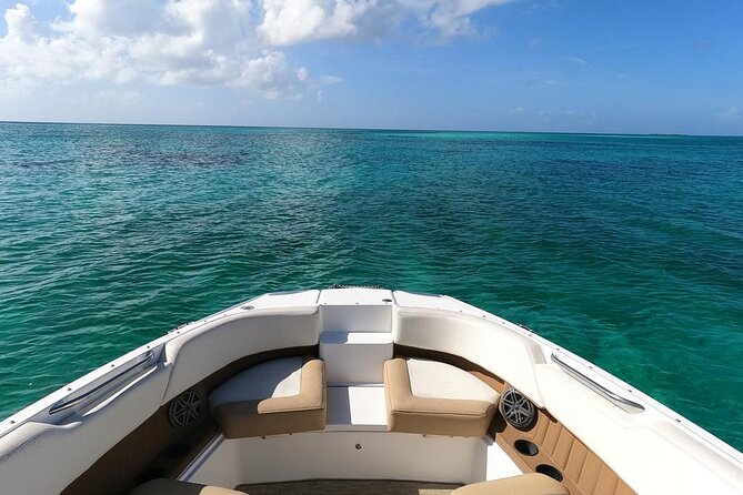 Half-Day Luxury Private Rose Island Pigs and Turtles Excursion - Leaving Bayshore Marina for Rose Island