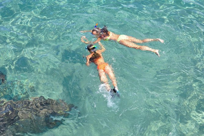 Half Day Snorkeling Tour in the Bahamas - What the private format is really worth