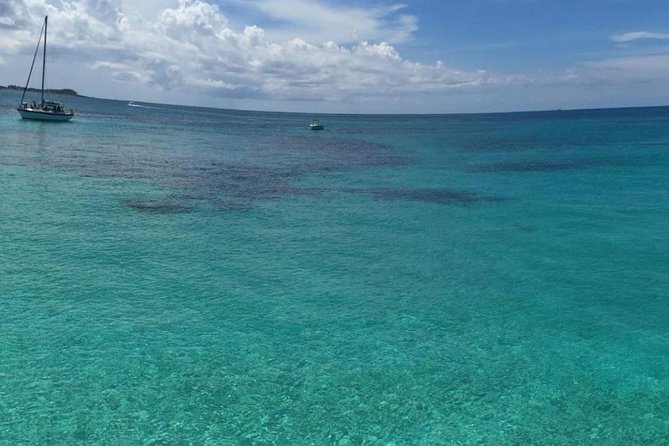 Half Day Snorkeling Tour in the Bahamas - Equipment, water, and what you need to plan