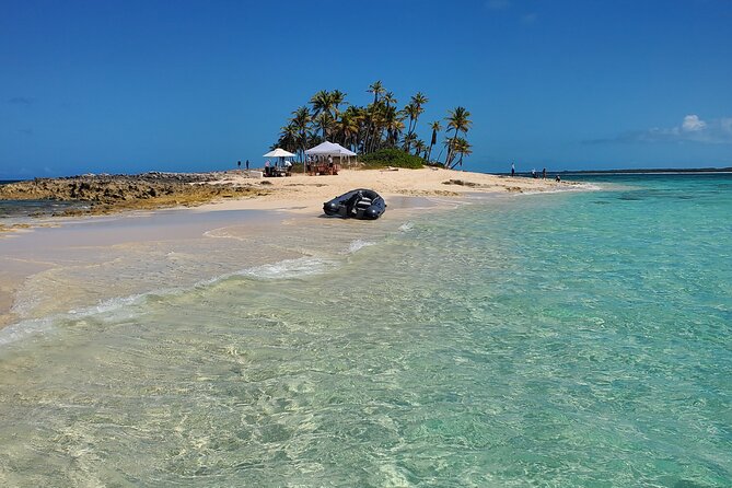 HALF DAY Swiming Pigs and Sharks Tour (Nassau to Exuma by Plane) - Seeing the sharks at Compass Cay