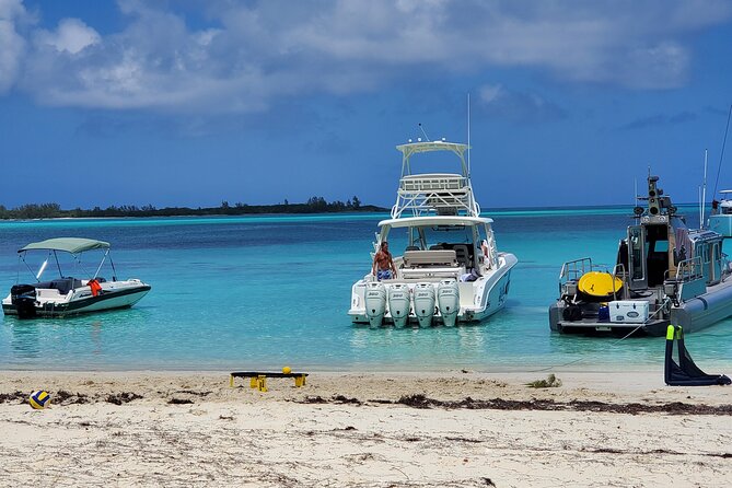 HALF DAY Swiming Pigs and Sharks Tour (Nassau to Exuma by Plane) - Meeting the iguanas at Gaulin Cay