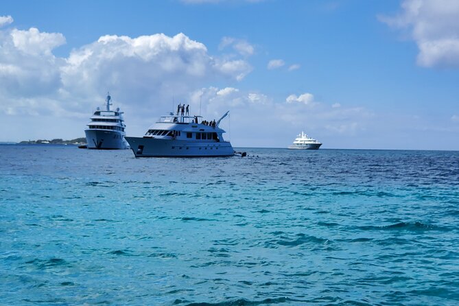 HALF DAY Swiming Pigs and Sharks Tour (Nassau to Exuma by Plane) - Lunch in Black Point on Great Exuma