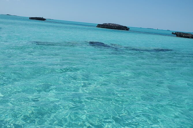 HALF DAY Swiming Pigs and Sharks Tour (Nassau to Exuma by Plane) - What the $4,000 group price really means