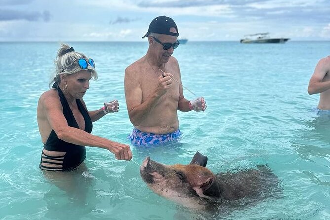 Half Day Swimming Pigs on Rose Island, Snorkeling and Lunch - Swimming and Feeding the Pigs on Rose Island