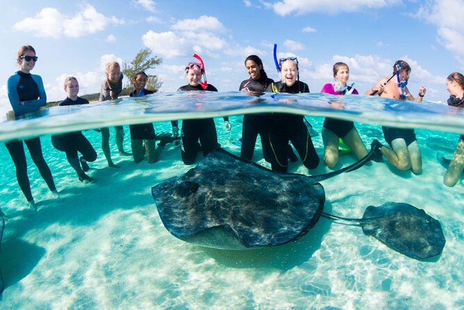 Honeymoon Harbour and The Sapona Day Trip - What makes this Bimini boat trip worth considering
