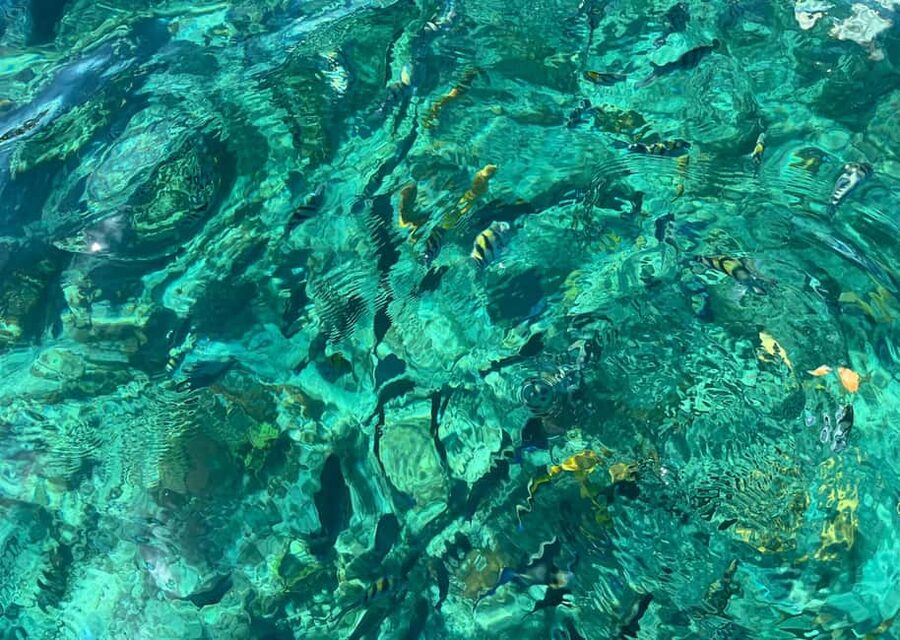 Invisible Boat & Snorkeling Experience at Nassau - FAQ