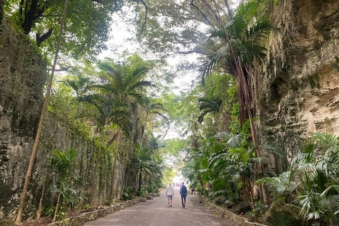 Island Tour,Beach & Lunch stop at Fish fry in Nassau Bahamas - Fort Fincastle and the Queen’s Staircase