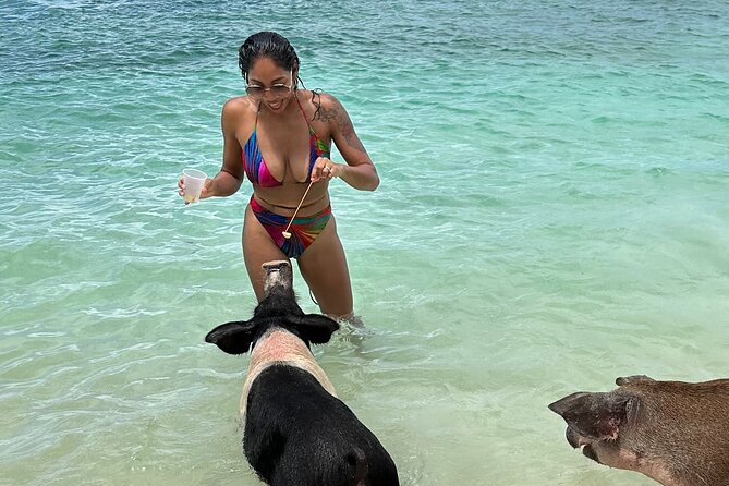 Luxury Catamaran Cruise: Sip, Sail, Snorkel, and Swim with Pigs! - Key things to know before you book