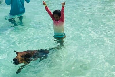Luxury Catamaran Cruise: Sip, Sail, Snorkel, and Swim with Pigs!
