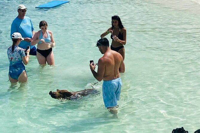 Luxury Catamaran Cruise: Sip, Sail, Snorkel, and Swim with Pigs! - Cruising past Sandy Cay, the real Gilligan’s Island