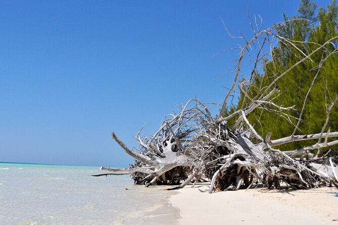 Mamma Gal Celeb-Key Native Exp. Shared Tour - Leaving Celebration Key for a wider view of Grand Bahama