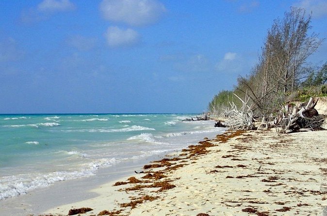 Mamma Gal Celeb-Key Native Exp. Shared Tour - A smaller group, but not a private tour
