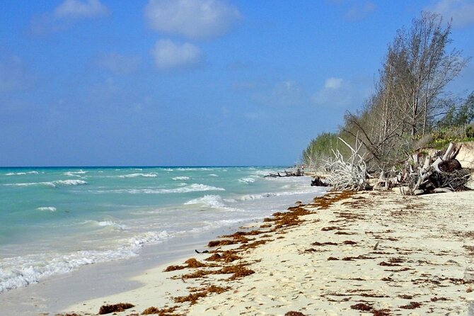 Mamma Gal Celeb-Key Native Exp. Shared Tour - What the strongest praise actually tells you