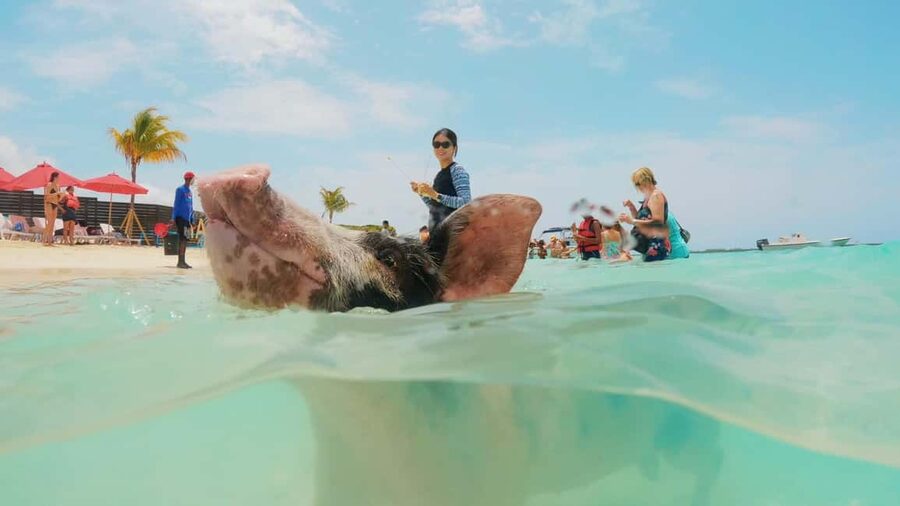Mansa Bay w/ Swimming Pigs, Banana Boat, JetSki & Snorkeling - Banana boat fun for groups
