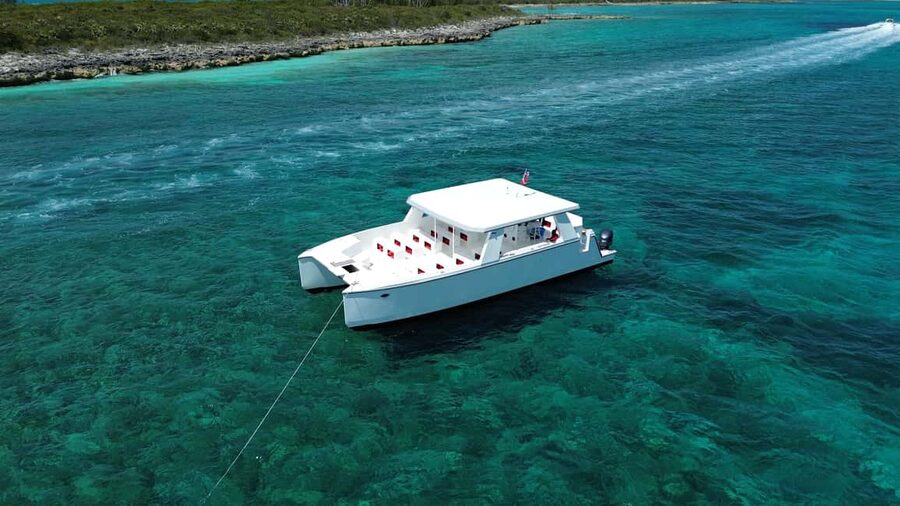 Mansa Bay w/ Swimming Pigs, Banana Boat, JetSki & Snorkeling - Is $208 a fair price?
