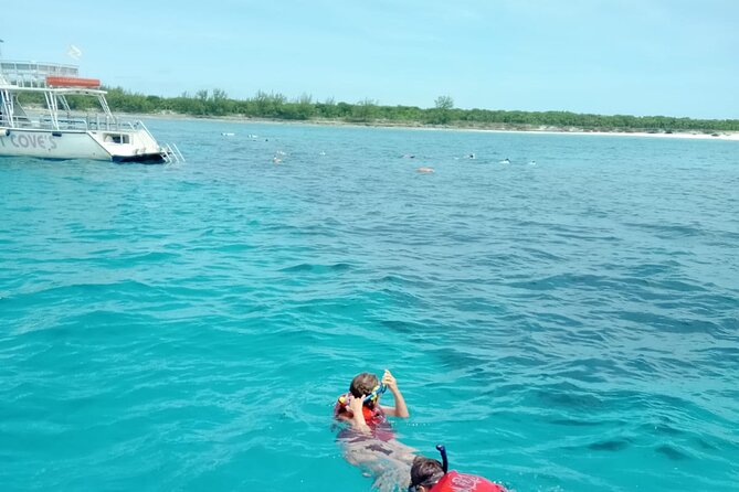 Nas: 3 islands Tour ,snorkel, Turtles, pigs and lunch - Green Turtle Cay and the snorkeling stop