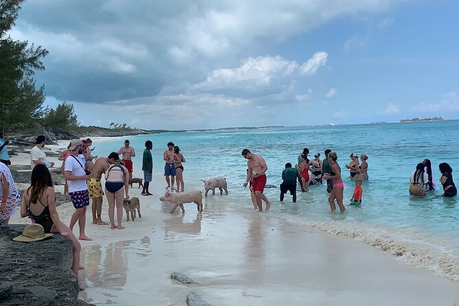 Nas: 3 islands Tour ,snorkel, Turtles, pigs and lunch - How the $150 price measures up