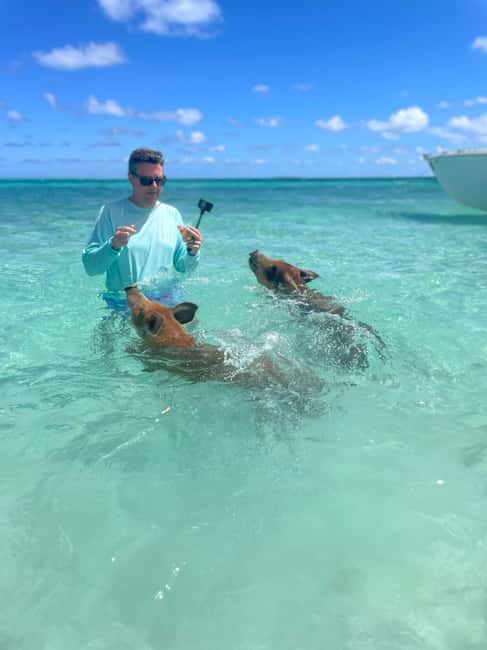 Nassau: 3-Island Snorkel Tour with Pigs, Beach Club, & Lunch - What the $159 price really covers