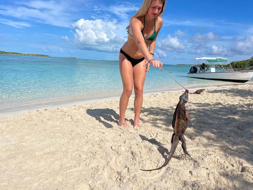Nassau: 3 Islands Boat w/ Swimming Pigs, Snorkeling & Turtle - What the crew adds to the day