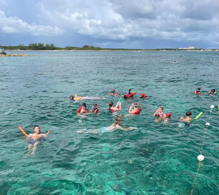 Nassau: 3 Islands Boat w/ Swimming Pigs, Snorkeling & Turtle - Timing, comfort, and who should book